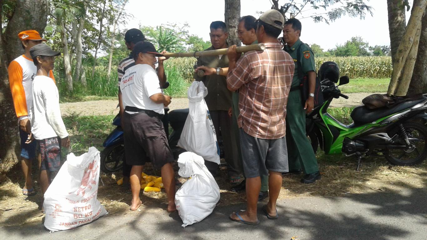 UPSUSPAJALE DESA WONOKROMO