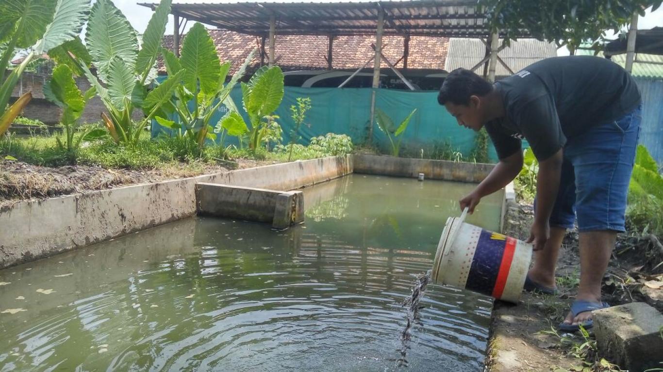 Usaha Ekonomi Produktif Karang Taruna Sultan Agung I Wonokromo 