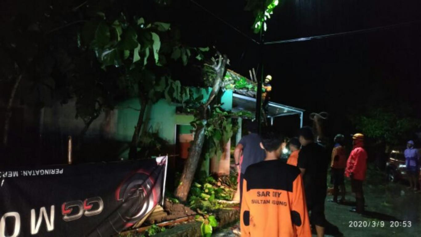 FPRB Desa Wonokromo dan SAR Sultan Agung Evakuasi Pohon Tumbang di Brajan